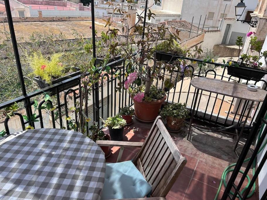 サロブレーニャAmazing Sea And Mountain View! Casita Pinataアパートメント エクステリア 写真